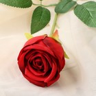 Цветы искусственные "Роза Шёлк" 7х56 см, красный - Фото 2