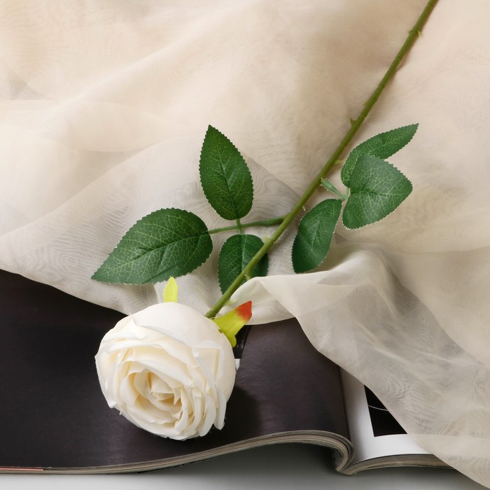 Цветы искусственные "Роза Шёлк" 7х56 см, белый - Фото 1