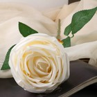Цветы искусственные "Роза Шёлк" 7х56 см, белый - Фото 2