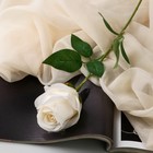 Цветы искусственные "Роза Карина" 7х56 см, белый - фото 319526166