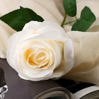 Цветы искусственные "Роза Карина" 7х56 см, белый - Фото 2