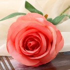 Цветы искусственные "Роза Карина" 7х56 см, розовый - Фото 2