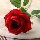 Цветы искусственные "Роза Карина" 7х56 см, красный - Фото 2