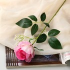 Цветы искусственные "Роза венесуэльская" 8х56 см, розовый - фото 320445617