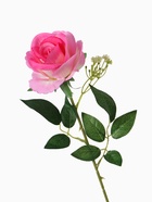 Цветы искусственные «Роза венесуэльская», 8×56 см, розовые 9369547