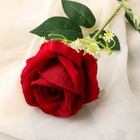 Цветы искусственные «Роза венесуэльская», 8×56 см, бордовые - фото 52685754