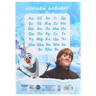 Набор первоклассника в папке, «Холодное сердце», 30 предметов - Фото 35