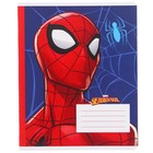 Набор первоклассника в папке, Человек-паук, 40 предметов - фото 6944111
