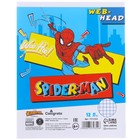 Набор первоклассника в папке, «Человек-паук», 40 предметов - Фото 25