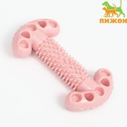 Игрушка для собак "Ключ", TPR, массажная, 12 х 3,5 х 5 см, розовая - фото 6944168
