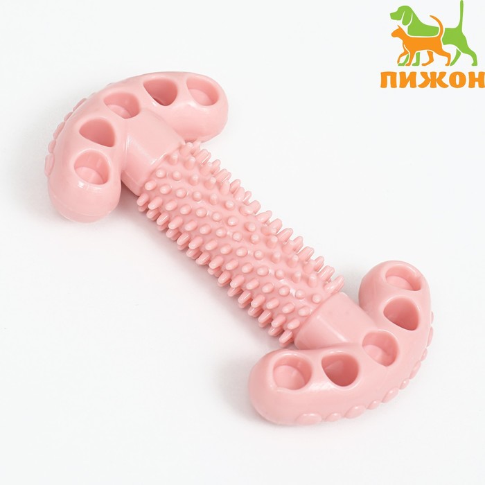 Игрушка для собак "Ключ", TPR, массажная, 12 х 3,5 х 5 см, розовая - Фото 1