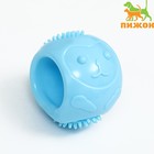 Игрушка для собак "Ёж", TPR, массажная, 6,5 см, голубая - фото 10558042
