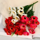 Букет искусственный «Лохмач галант», 4.5×28 см, МИКС 9499345