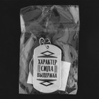 Брелок для ключей жетон «Ты можешь всё», 9,5 х 2,7 см 9402904 - фото 16267790