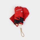 Зонт женский механический «Ныряй в жизнь», 6 спиц, складывается в размер телефона - Фото 7