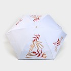 Зонт женский механический «Осеннее настроение», 6 спиц, складывается в размер телефона - Фото 3