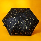 Зонт женский «Чёрное золото», 6 спиц, складывается в размер телефона. - Фото 3