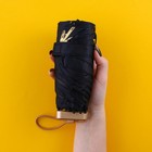 Зонт женский «Чёрное золото», 6 спиц, складывается в размер телефона. - Фото 6
