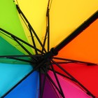 Зонт женский механический, радужный «Время дождя и чудес», 10 спиц - Фото 5