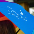 Зонт женский механический, радужный «Время дождя и чудес», 10 спиц - Фото 10