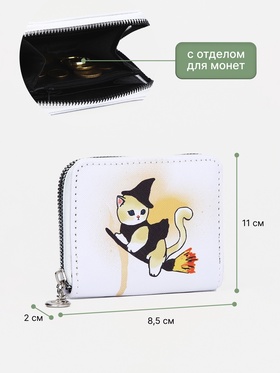 кот на метле