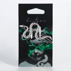 Заколка для волос «Beauty art», 6.2×3.3 см - Фото 1