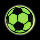 Светоотражающий значок «Футбольный мяч», d = 5,8 см, цвет МИКС - Фото 6