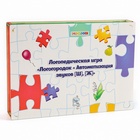 Логопедическая игра «Логогородок. Автоматизация звуков Ш, Ж» - Фото 9