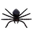 Прикол «Паук», цвет чёрный, 20×15 см - фото 30763332