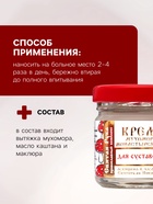 Крем для суставов монастырский «Святая рука» Мухомор, 30 мл - Фото 3