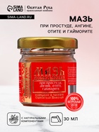Мазь при простуде, ангине, отите и гайморите «Святая Рука», 30 мл - Фото 1