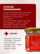 Мазь при простуде, ангине, отите и гайморите «Святая Рука», 30 мл - Фото 3