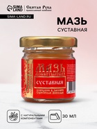 Мазь «Святая Рука» суставная, 30 мл - Фото 1