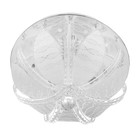 Люстра 5967/400 CR хром 4х40Вт E14 LED RGB ПДУ 40х40х21см - фото 42640278