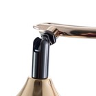 Люстра N5007/3 FGD+BCH золото/хром 3х60Вт E27 60х60х24см - фото 36443128