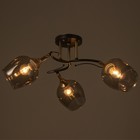 Люстра N5031/3 COF+FGD кофе/золото 3х60Вт E27 60х60х24см - фото 42640306