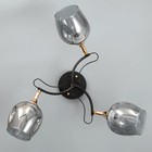 Люстра N5031/3 COF+FGD кофе/золото 3х60Вт E27 60х60х24см - фото 42640308