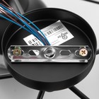 Люстра 52056/5 BK+COP чёрный/медь 5×40 Вт E27 56×56×27 см - фото 5035043