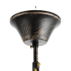 Люстра 06416/8 BK+GD черный/золото/хрусталь 8х40Вт E14 72х72х102см 9669838