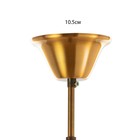 Люстра 2832/4 FGD+BR золото/коричневый 4х40Вт E27 53х53х60см - фото 48133141