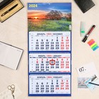 Календарь квартальный, трио "Природа - 9" 2024 год, 31х69см - Фото 1