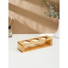 Подставка для специй на 3 ёмкости, 24×7×5,5 см, берёза - фото 25389206