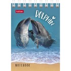 Блокнот А7, 40 листов на гребне "Подводный мир", обложка мелованный картон МИКС (комплект 10 шт) - фото 22285693