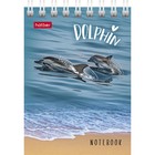 Блокнот А7, 40 листов на гребне "Подводный мир", обложка мелованный картон МИКС (комплект 10 шт) - фото 22285694
