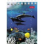 Блокнот А7, 40 листов на гребне "Подводный мир", обложка мелованный картон МИКС (комплект 10 шт) - фото 22285695