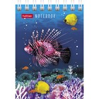 Блокнот А7, 40 листов на гребне "Подводный мир", обложка мелованный картон МИКС (комплект 10 шт) - фото 22285697