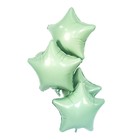 Шар фольгированный 19" «Олива», звезда - Фото 2