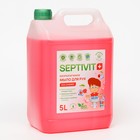 Жидкое мыло SEPTIVIT "Ice Cherry", 5 л - фото 319532329
