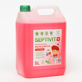 Мыло SEPTIVIT "Ice Cherry", 5 л