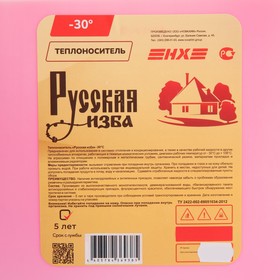 

УЦЕНКА Теплоноситель "Русская изба" - 30, основа этиленгликоль, 10 кг